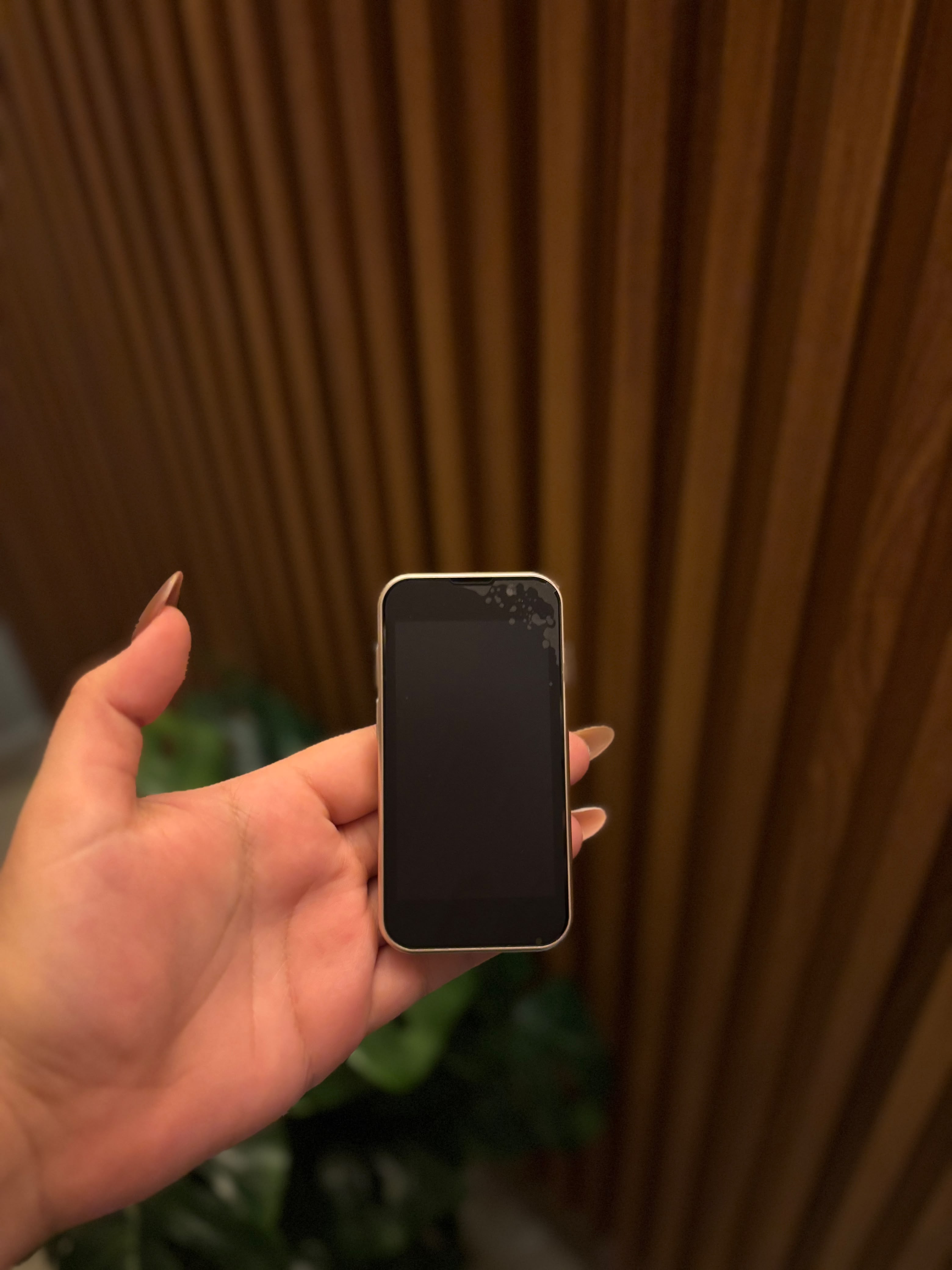 Mini iPhone de frente